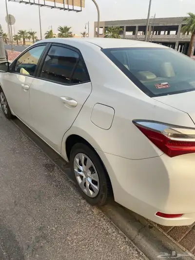كورولا 2019 2