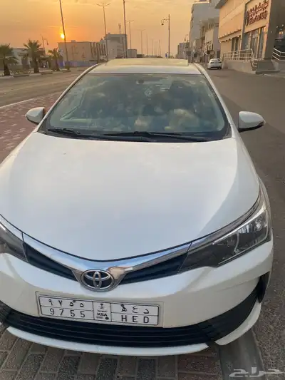 كورولا 2019 1
