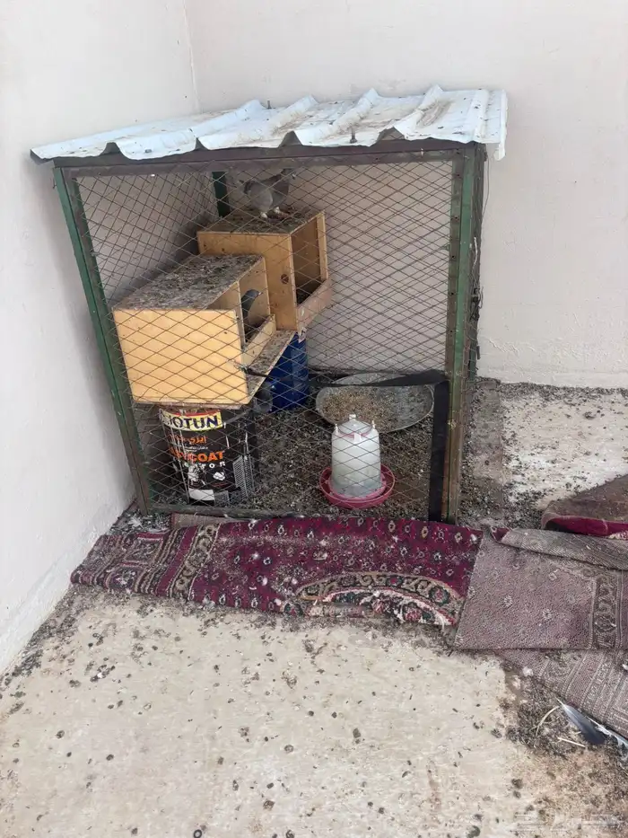 حمام مع القفص و خانات و قطر وشعري رقم توصل 1