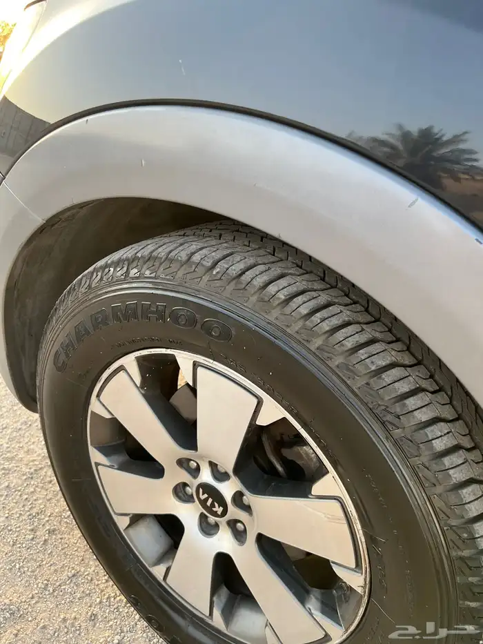 موهافي 2017 12