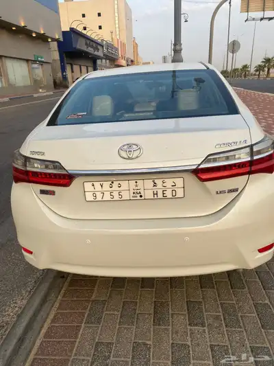 كورولا 2019 6