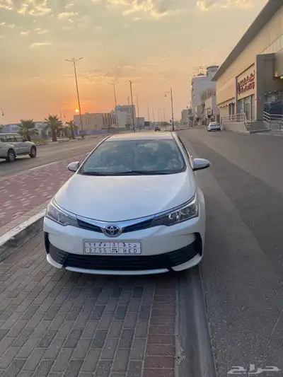 كورولا 2019 3