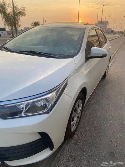 كورولا 2019 5