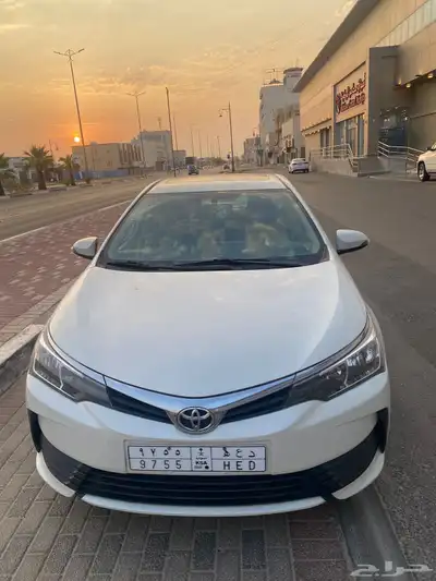 كورولا 2019 4