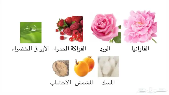 عطر holy peony من ديور (شبه جديد) 2