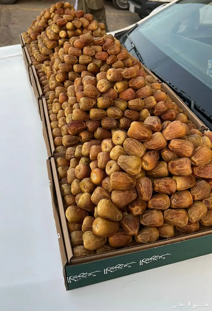 توفير جميع انواع التمور 0