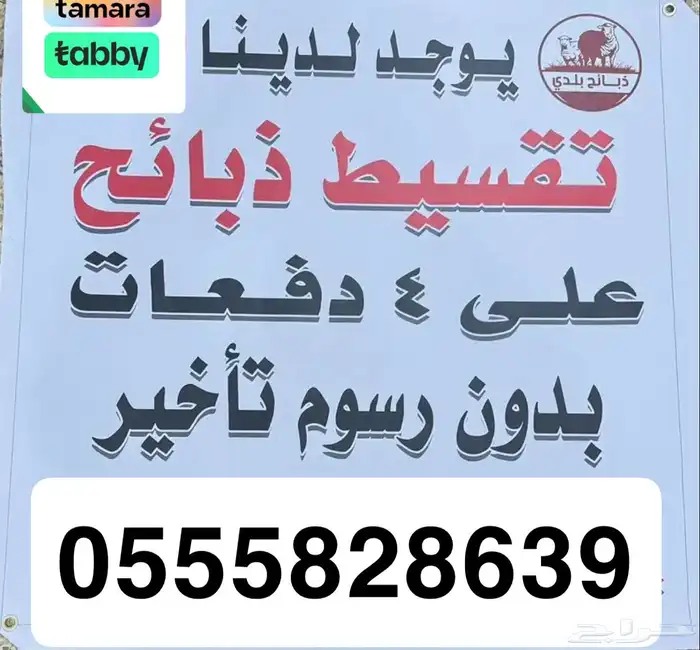 طليان و رخال ذبائح بلدي 0