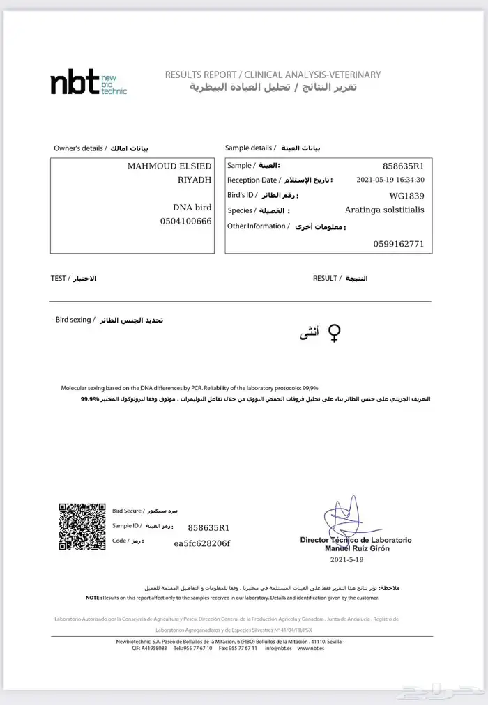جوز ببغاء صن كنيور منتج 2