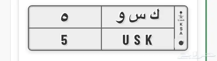للبيع لوحة فرديه رقم 5 كسوه 0
