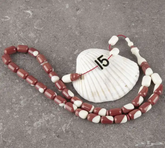 سبح 13