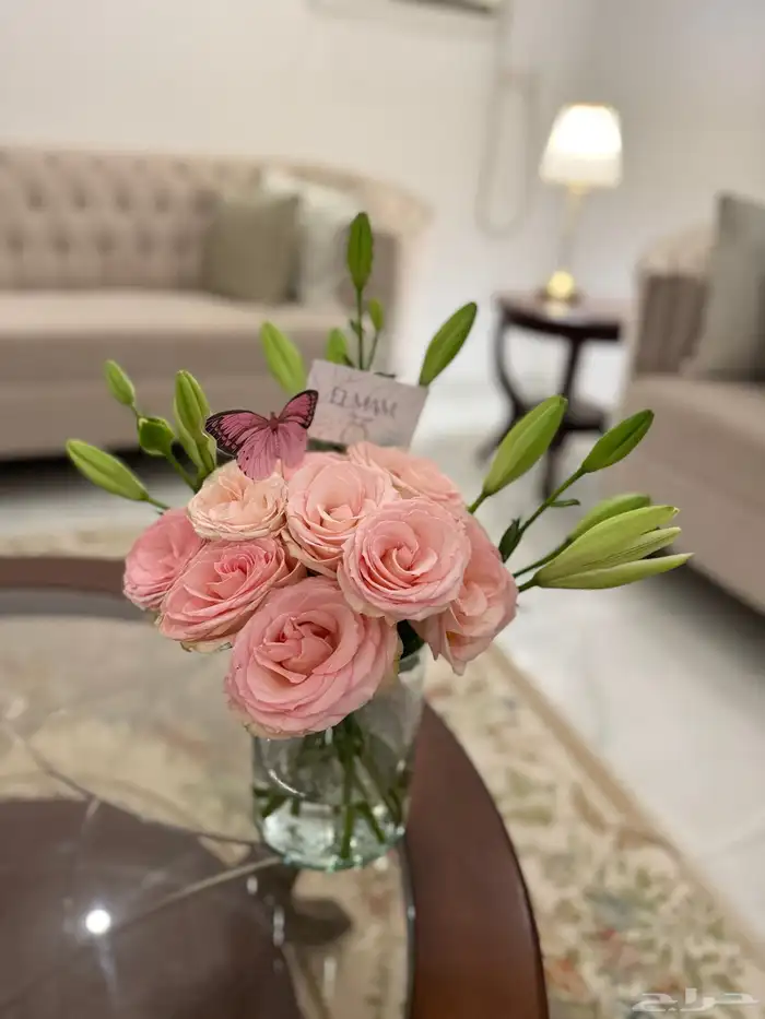 فازة تسليم فوري حي النور ب 65 ريال مع كرت اهداء 2