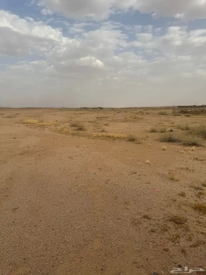 للبيع مزرعه ( مريفق) المساحه 136824 مميزه 0