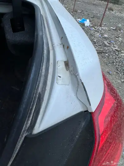 افلون نضيف جدا جدا 19