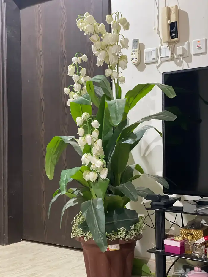 اغراض بيت للبيع 18