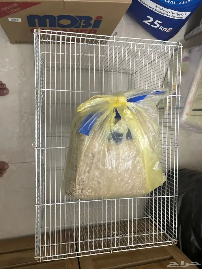 هايل 2