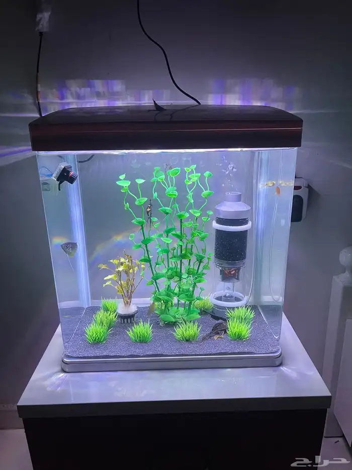 احواض جميلة جدا للبيع 0