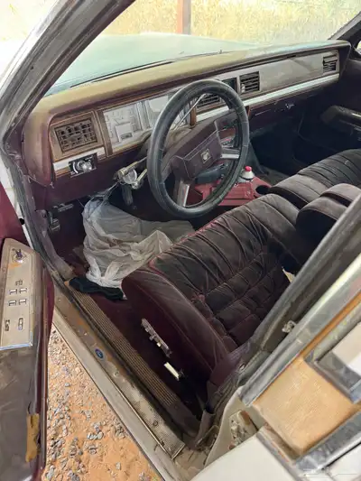 فورد1989 14