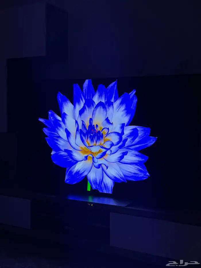 شاشة LG 65 مستخدم اوليد نحيف 5
