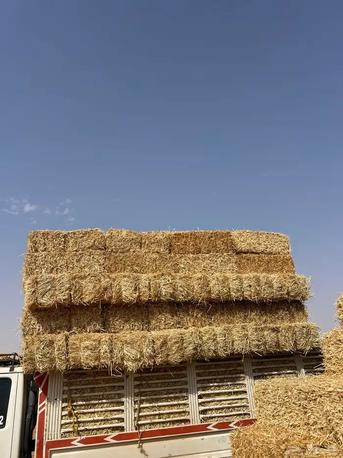 تبن بر صافي ناعم 0