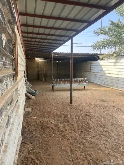 حوش حلال 2
