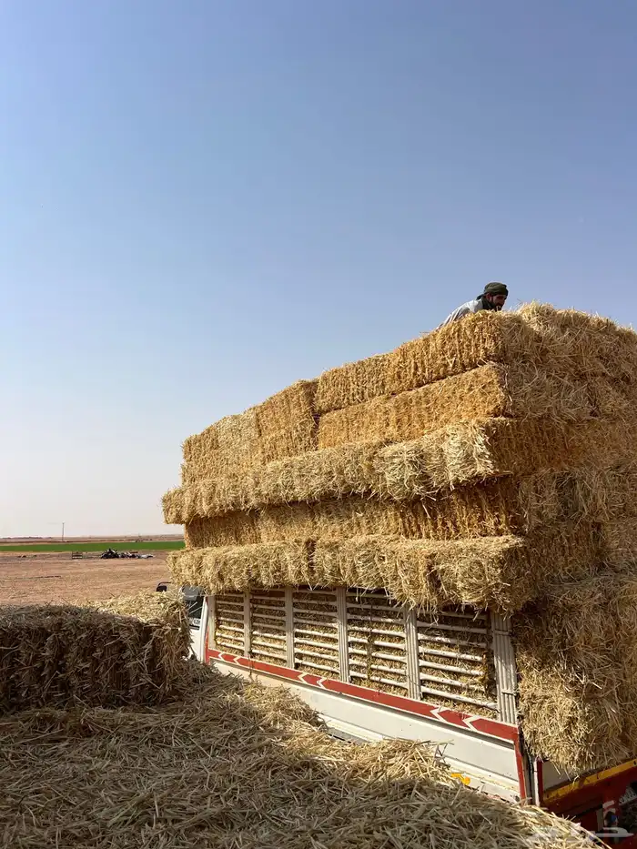 تبن بر صافي ناعم 3