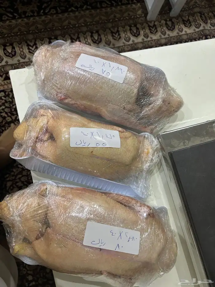 بط بلدي اورجانييك علفه من الازولا وعلاجه بالاعشاب 1