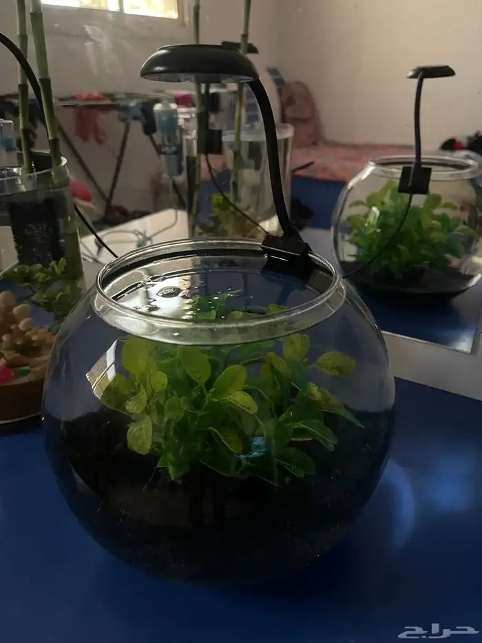 احواض جميلة جدا للبيع 3