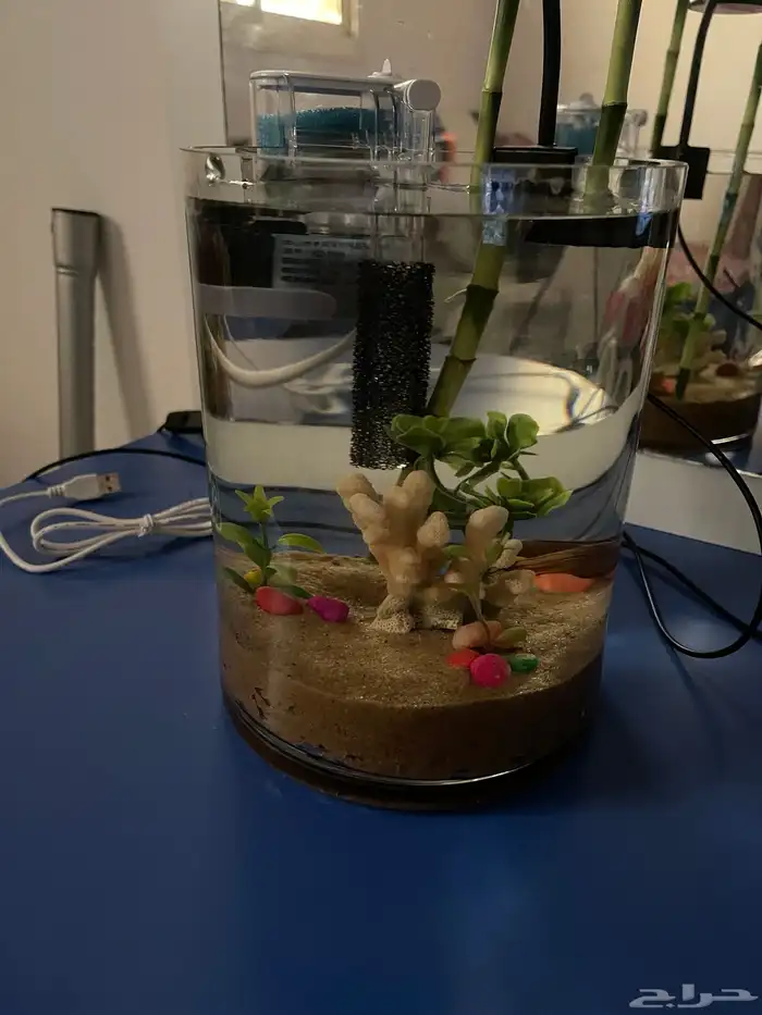 احواض جميلة جدا للبيع 2