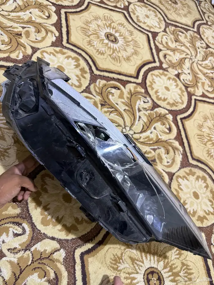 شمعه الانترا. 2025 4