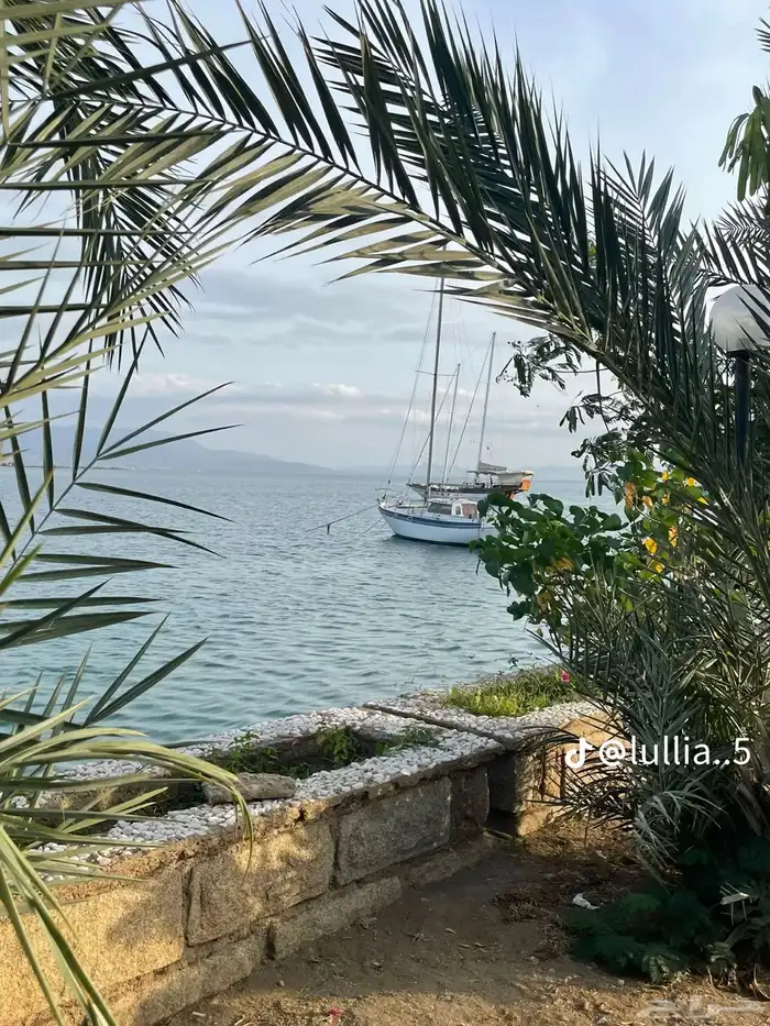 سياره اجار شهري 0