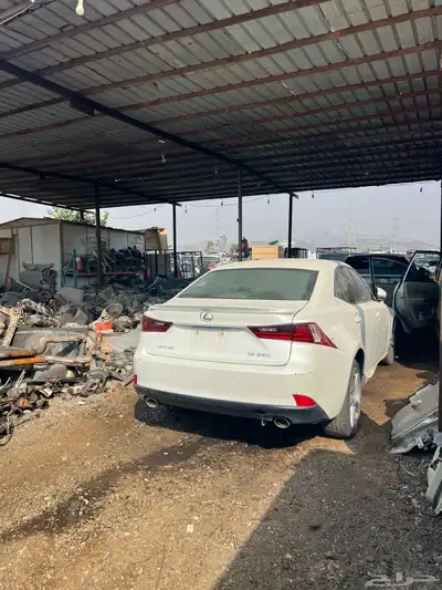 تشليح قطع غيار لكزس Rx350 2012 مصدوم 19