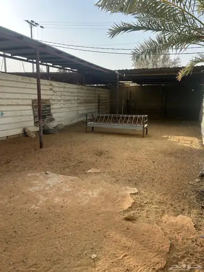 حوش حلال 3
