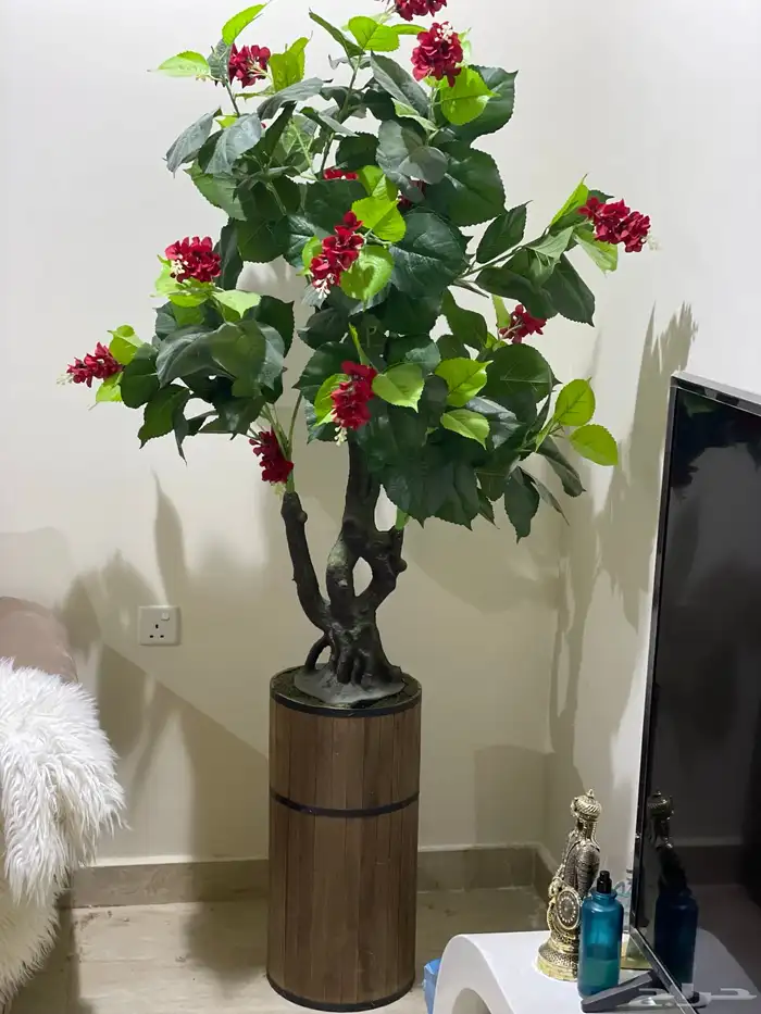 اغراض بيت للبيع 17