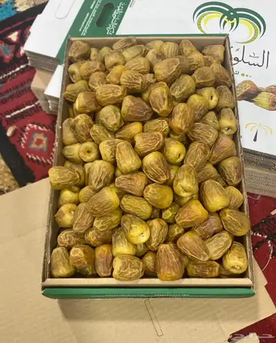 تمر سكري مفتل من مزارعنا طيب ب الحيل خراف اليوم بادر ب الحجز 0