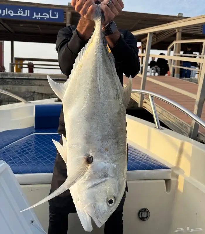 رحلات بحرية 1