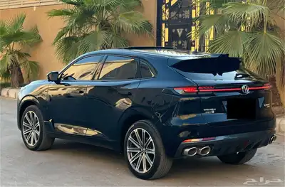 شانجان بوني كي 2023 (بحالة ممتازة) 6