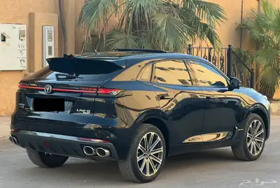 شانجان بوني كي 2023 (بحالة ممتازة) 4