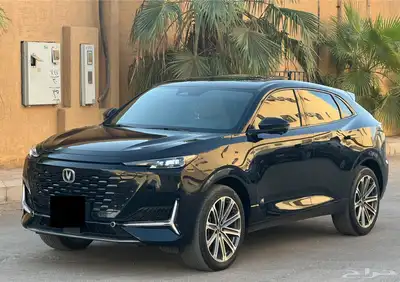 شانجان بوني كي 2023 (بحالة ممتازة) 1