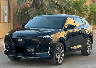 شانجان بوني كي 2023 (بحالة ممتازة) 0