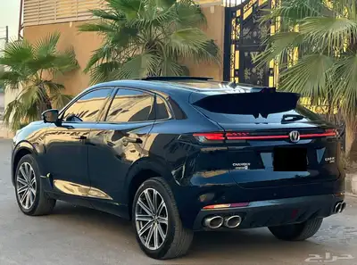 شانجان بوني كي 2023 (بحالة ممتازة) 7