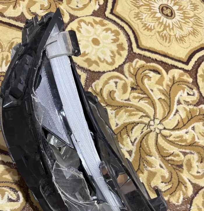 شمعه الانترا. 2025 5