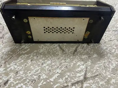 رادو فيليبس هولندي 6