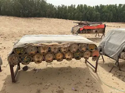 نحل بلدي الموقع القنفذه 1
