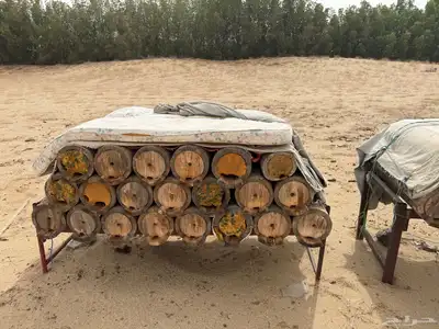 نحل بلدي الموقع القنفذه 4