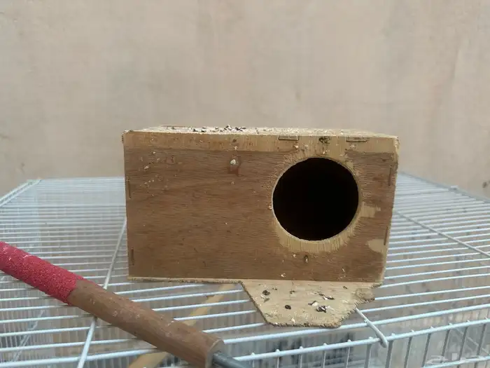 قفص طيور 3