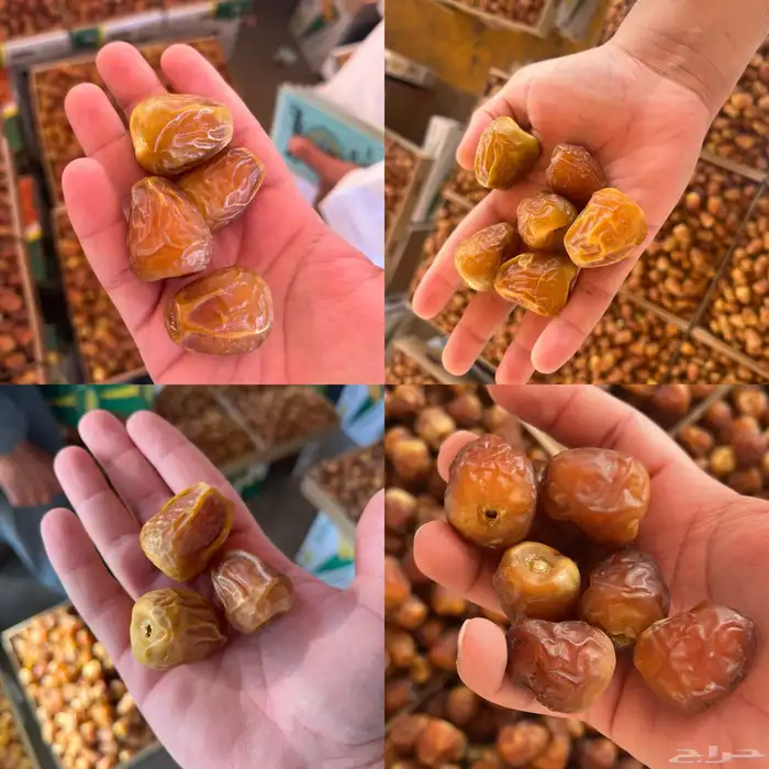 يوجد لدينا جميع تمور القصيم 0