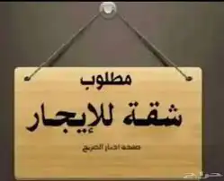 مطلوب شقة للايجار لعرسان 0