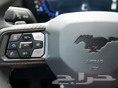 2024 Ford Mustang Dark Horse 14