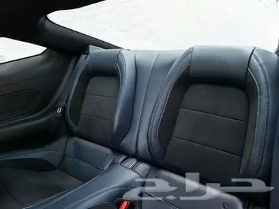 2024 Ford Mustang Dark Horse 19
