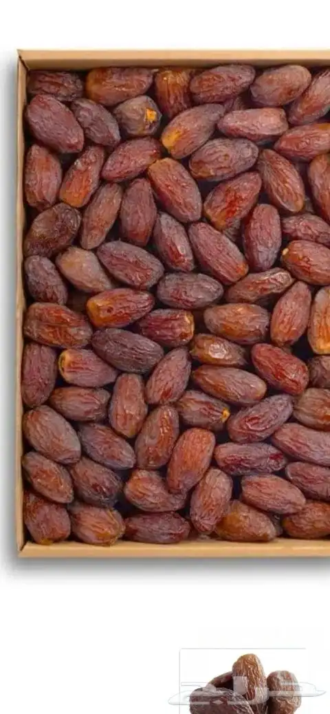 توفير التمور بانواعها جمله جميع الاصناف 2